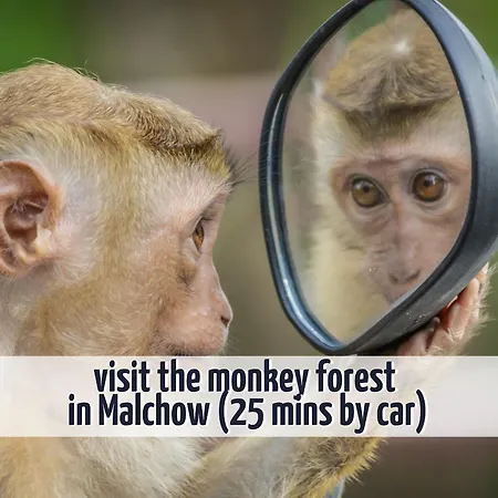 Appartement Wiesengefluester 433 In Mit Mueritzblick, Balkon Und Strandnaehe *