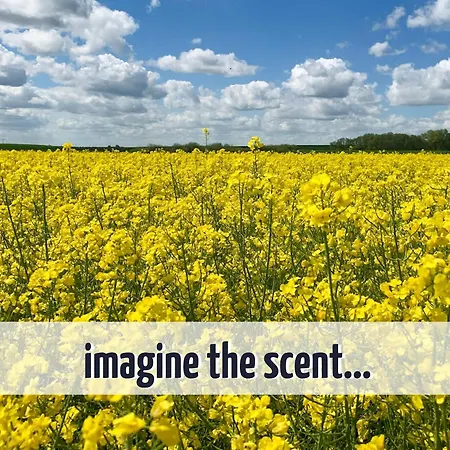 Wiesengefluester 433 In Mit Mueritzblick, Balkon Und Strandnaehe Appartement