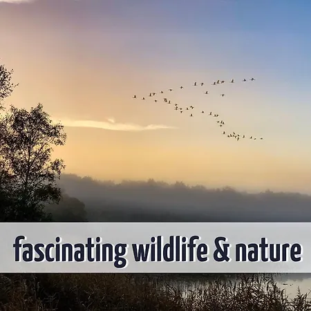Appartement Wiesengefluester 433 In Mit Mueritzblick, Balkon Und Strandnaehe